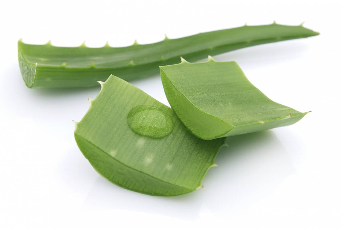 ALOE VERA Kingersheim