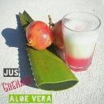 ALOE VERA Wittenheim 1