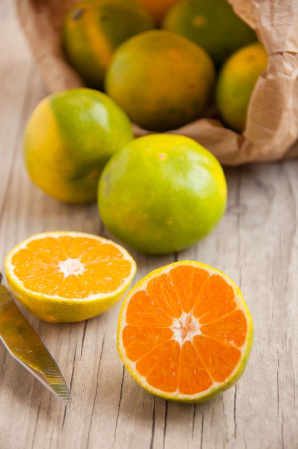 SATSUMA | Biodôme SATSUMA Wittenheim