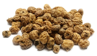 SOUCHET | Biodôme SOUCHET Guebwiller