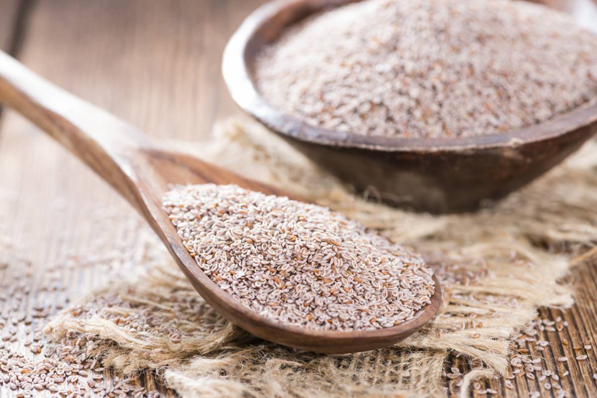PSYLLIUM BLOND Kingersheim