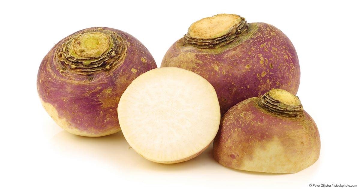 RUTABAGA Rixheim