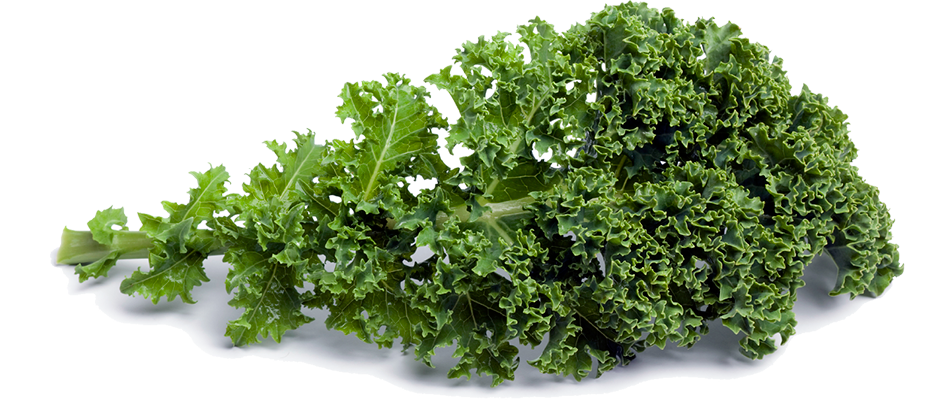 CHOU KALE Mulhouse