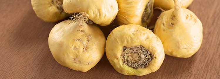 MACA | Biodôme MACA Kingersheim