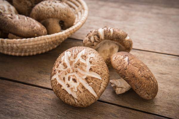 SHIITAKE Riedisheim