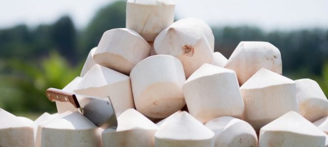 NOIX DE COCO FRAÎCHES Illzach