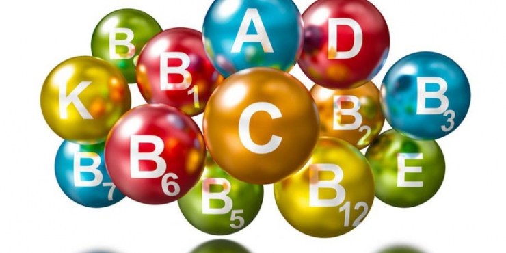 VITAMINE LES TYPES DE VITAMINES ET LEURS ROLES DANS L O | Biodôme VITAMINES Cernay