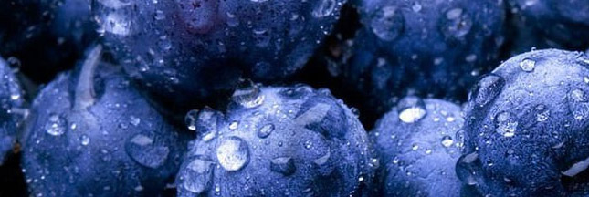 QUERCETINE | Biodôme QUERCETINE Illzach