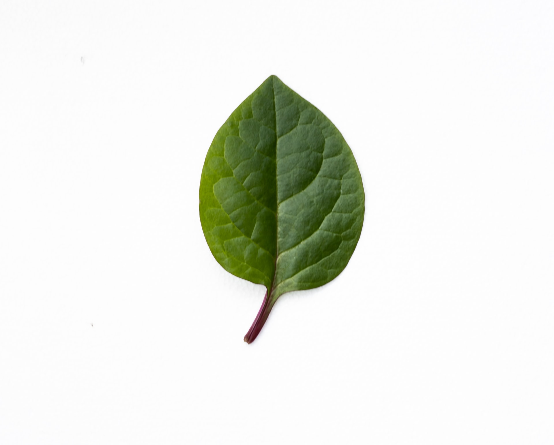 Comment savoir si un produit est naturel ? Wittelsheim