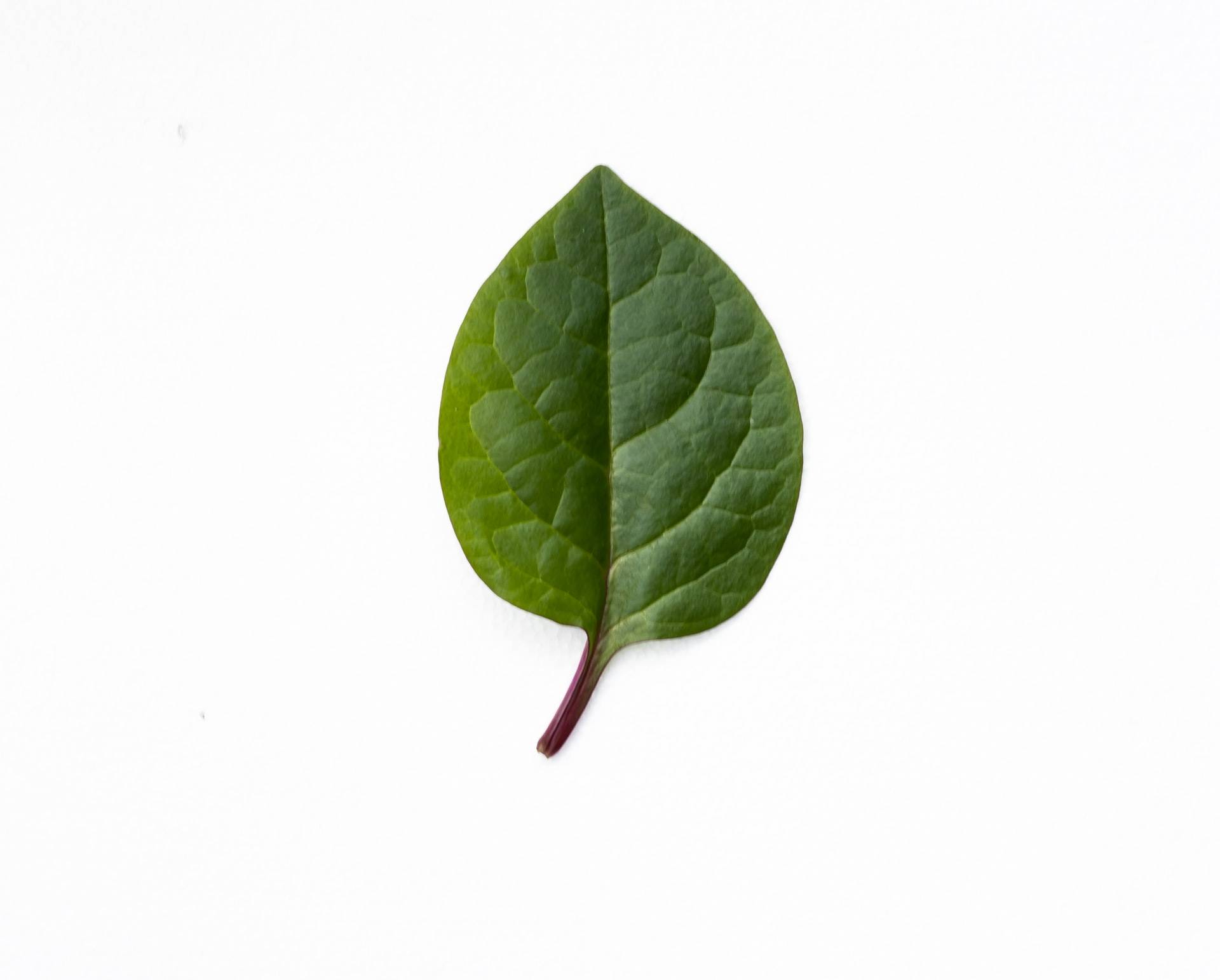 Comment savoir si un produit est naturel ? Wittelsheim