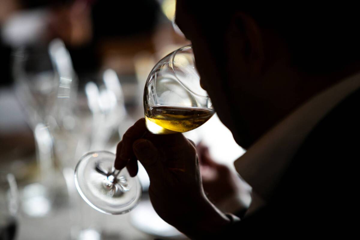 Qu&#8217;est-ce que le vin bio ? Wittelsheim