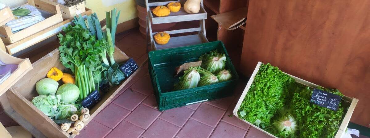 IMG_20241011_134820 1200X450 | Biodôme Magasin bio – Produits naturels, locaux et engagés à Hégenheim près de Saint-Louis Mulhouse 6