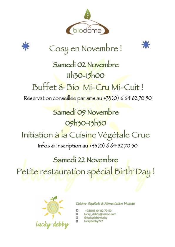 Buffet bio végétal &#8211; samedi 2 novembre à partir de 11h 30 Rixheim 0