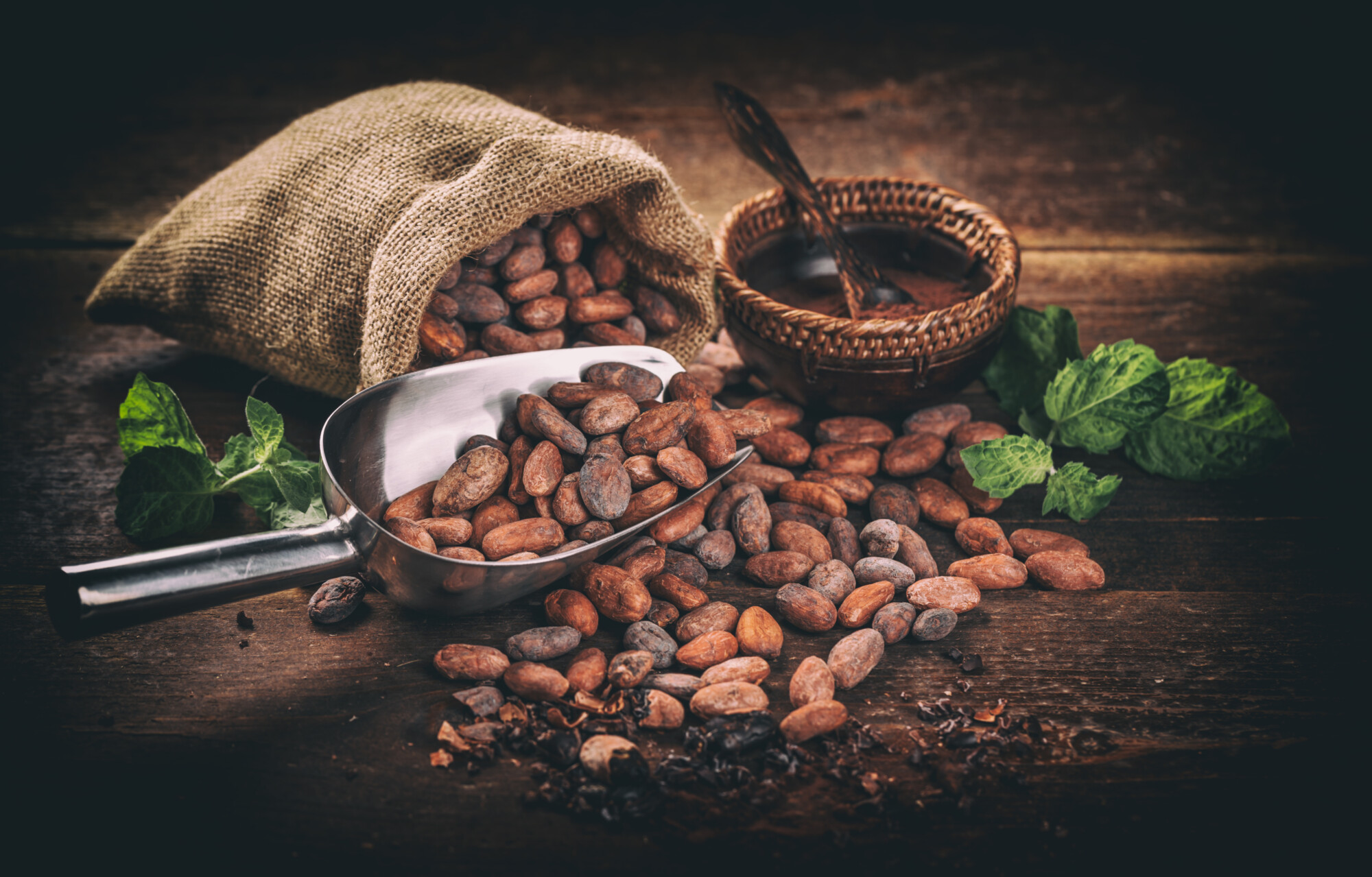 la Cérémonie du Cacao Sacré &#8211; 2ème ! Thann