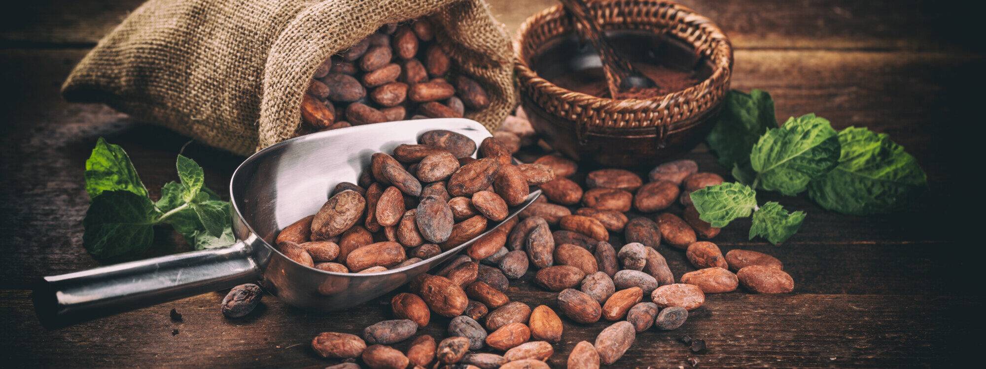 la Cérémonie du Cacao Sacré &#8211; 2ème ! Thann